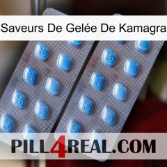 Saveurs De Gelée De Kamagra viagra4
